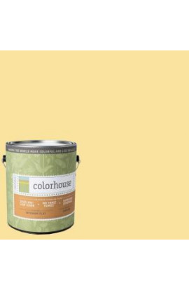 Colorhouse 1-gal. Aspire .02 Flat Interior Paint - 481121
