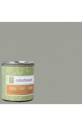 Colorhouse 1-qt. Metal .04 Flat Interior Paint - 691540