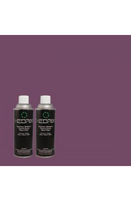 Hedrix 11 oz. Match of S-G-670 Deep Violet Gloss Custom Spray Paint (2-Pack) - G02-S-G-670