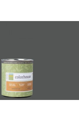 Colorhouse 1-qt. Metal .05 Flat Interior Paint - 691557